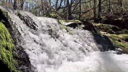 Cascade des joies