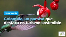 Colombia, un paraíso que destaca en turismo sostenible
