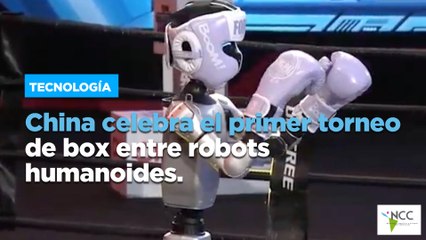 China celebra el primer torneo de box entre robots humanoides
