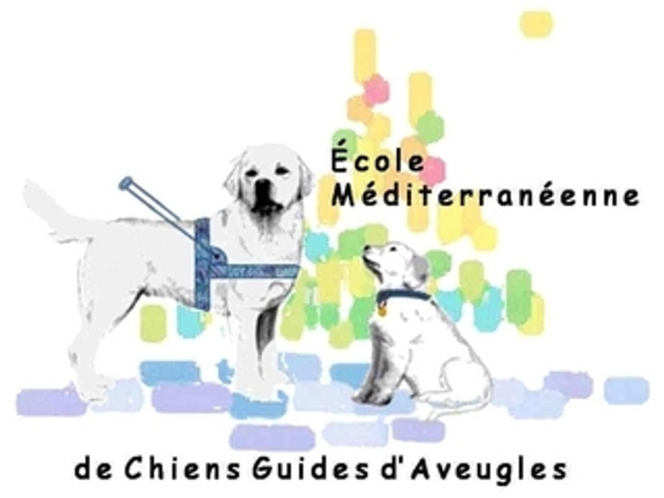 [ASSOCIATION STI PROD] Reportage EMCGA