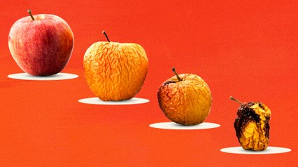 What We Mean By Aging, Dr. Barzilai | The Future You | Men's Health