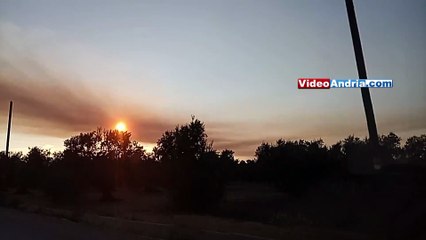 Andria: i fumi dell'incendio dell'Oasi Lago Salso coprono i raggi solari