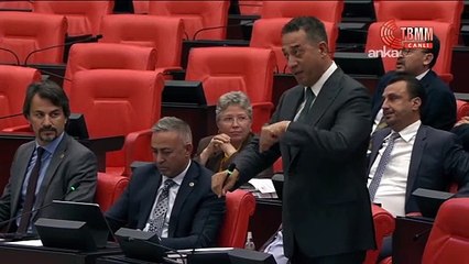Meclis'te 'ayı' gerilimi devam ediyor: Sarayın bir kenara attıkları