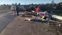 Iban dos en un camión frigorífico, cayeron desde un puente y solo uno sobrevivió: la tragedia en Córdoba que conmueve