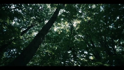 SAINT CLARE (2024) | Exclusive clip