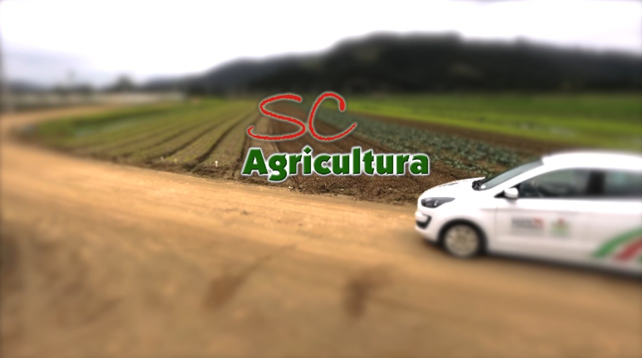 Confira a íntegra do programa SC Agricultura deste sábado (19)!