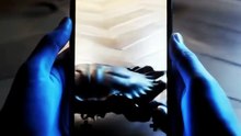 Why Future Phones Will Change Everything