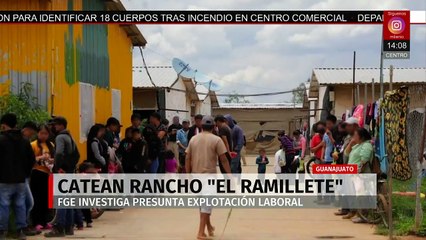 Catean rancho 'El Ramillete' en Guanajuato por presunta trata con fines laborales