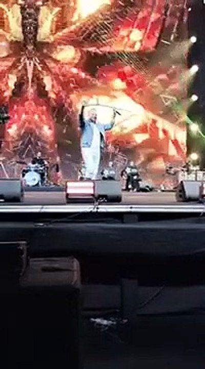 حسام حبيب