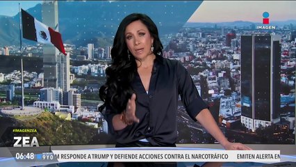 Decomisan más de mil tarántulas escondidas en paquetes de galletas