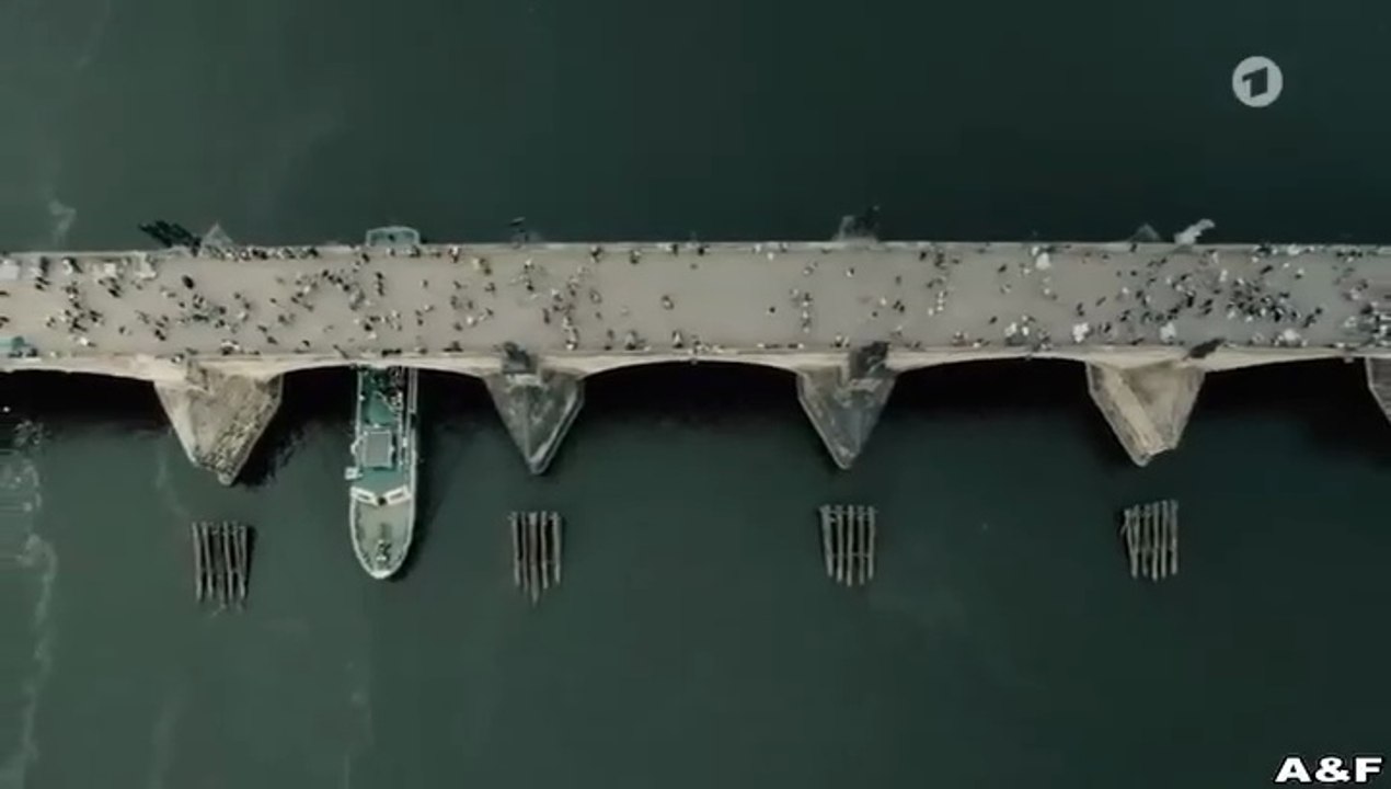 Die Diplomatin -04- Böses Spiel