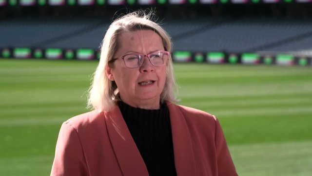 South Australian government calls for Commonwealth to support fishers as algal bloom continues