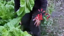 每天更新搞笑视频，逗你开心每一天