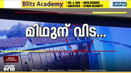 കൊല്ലത്ത് ഷോക്കേറ്റ് മരിച്ച മിഥുന്റെ അമ്മ ഇന്ന് നാട്ടിലെത്തും