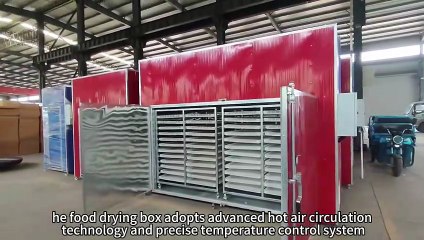 electric heating drying box