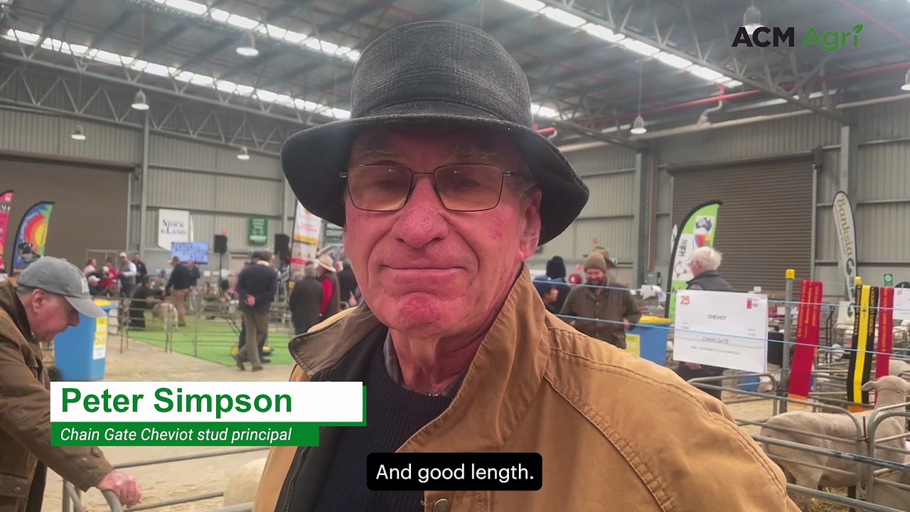 Cheviot supreme champion owner backs 'underrated' breed at ASWS