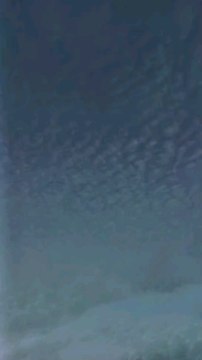 Quran | Tilawat | quran tilawat | tilawat quran#islam #quran #Deen #quran #tilawat #trending #shorts #dailyvlog #morning #viral #fyp #fypシ #fypシ゚viral #foryou #foryoupage