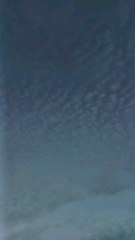 Quran | Tilawat | quran tilawat | tilawat quran#islam #quran #Deen #quran #tilawat #trending #shorts #dailyvlog #morning #viral #fyp #fypシ #fypシ゚viral #foryou #foryoupage