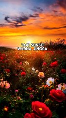 Inilah Alasan Langit berwarna biru dan jingga saat sunset #physics #shorts #sunset #sky