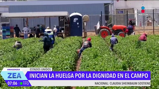 Trabajadores agrícolas de California inician huelga contra las redadas migratorias