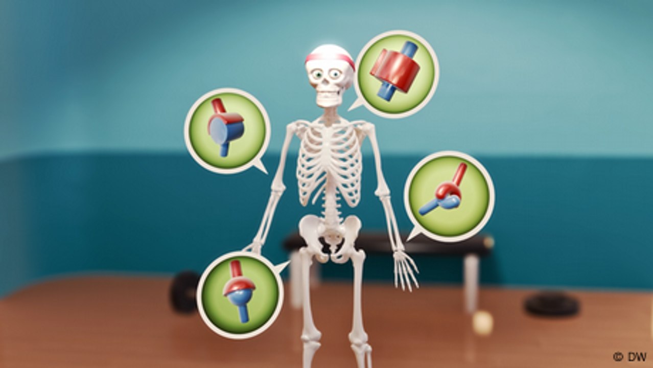 Wie funktionieren unsere Gelenke?