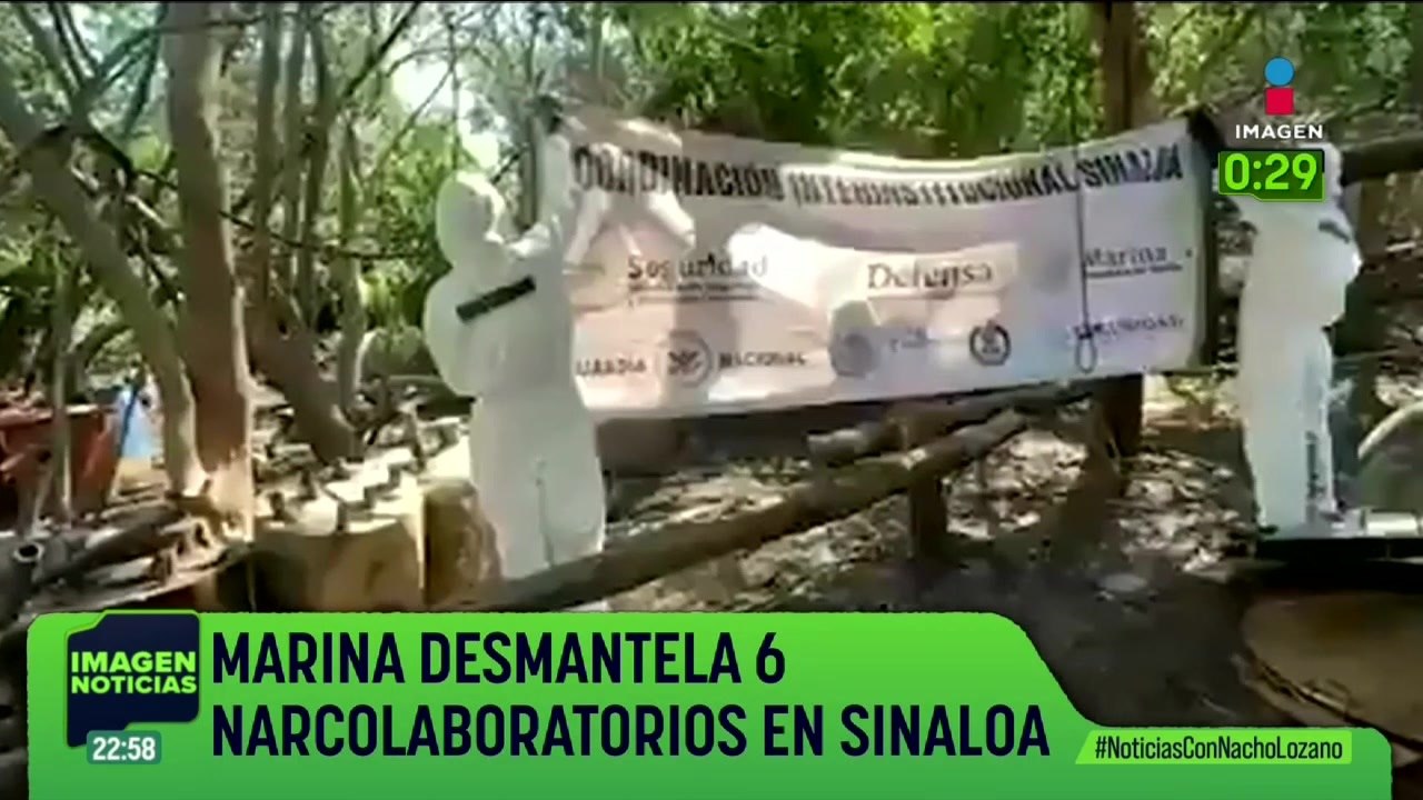 La Semar desmanteló seis laboratorios clandestinos en Sinaloa