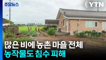 주택·농작물 침수 피해 복구 시작...이 시각 충청 / YTN