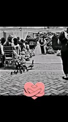 bride and groom best 👌 marriage cute gift by god 💖 #shorts #duck #cute
