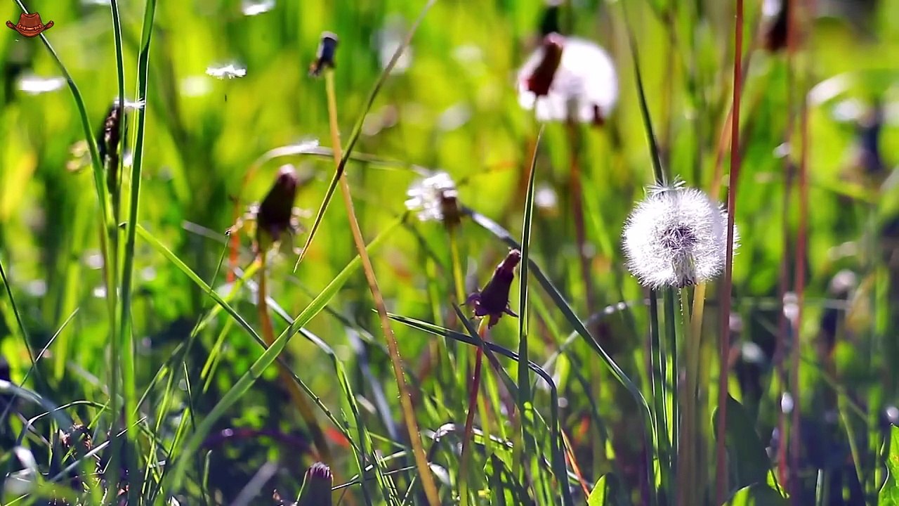 Top Country Songs 2025 🎸 Morgan Wallen, Luke Combs, Jason Aldean 🎸 Best Country Playlist_Part 04