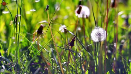 Top Country Songs 2025 🎸 Morgan Wallen, Luke Combs, Jason Aldean 🎸 Best Country Playlist_Part 04