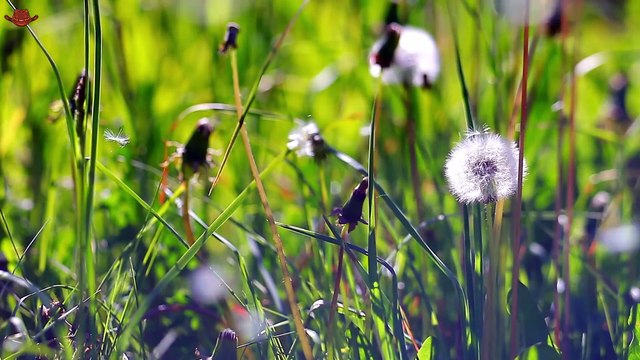 Top Country Songs 2025 🎸 Morgan Wallen, Luke Combs, Jason Aldean 🎸 Best Country Playlist_Part 05