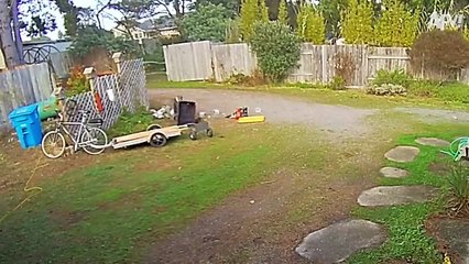 How 2025 is Going So Far 😂 Best Fails of the Week