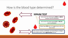 How is the blood type determined?