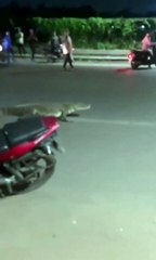 A crocodile was spotted roaming on a main road in Vadodara