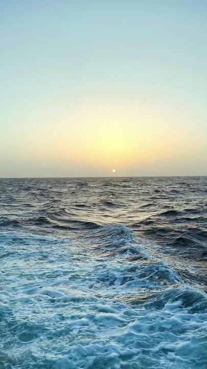 🌻#sunset#ocean#sunrice#fshinglife#adventure#discover#oceanlife#blu