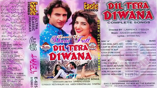 Aapse Bichhar Ke Hum / Dil Tera Diwana 1996 / Udit Narayan, Kavita Krishnamurthy