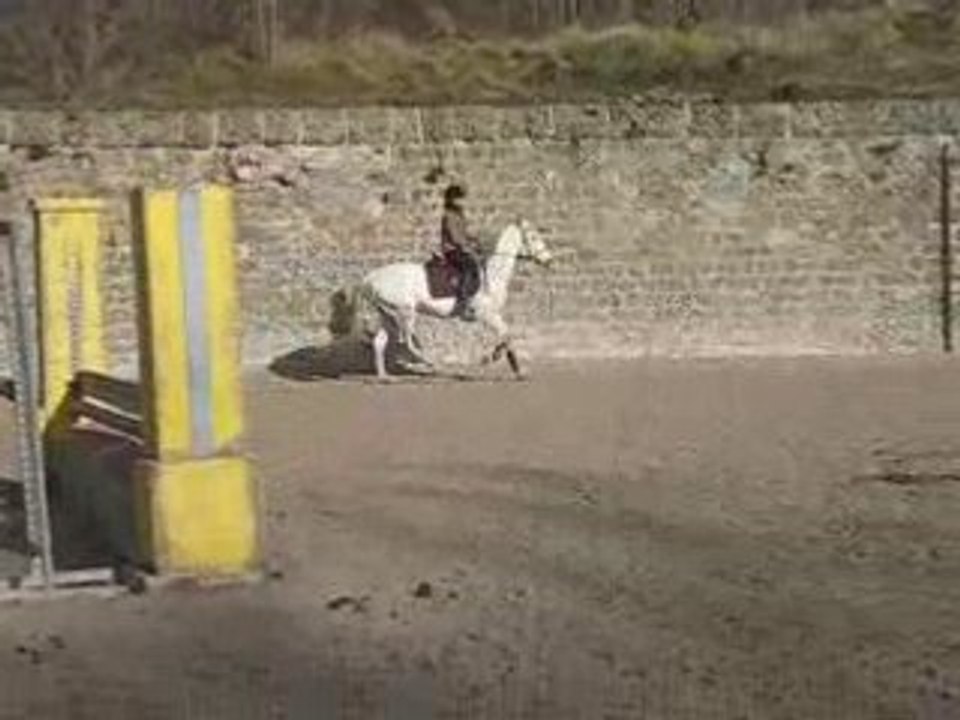 Ordo saut 2