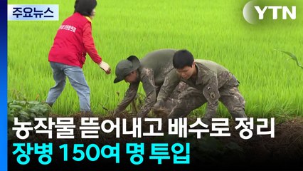 소강 상태 보인 충남 복구 시작..."일상 돌아갔으면" / YTN