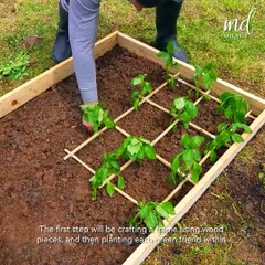 Creating a stunning garden bed for your green friends!