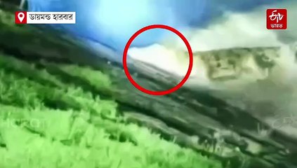 গ্রামের জলাশয়ে একের পর এক কুমির, ত্রস্ত এলাকাবাসী