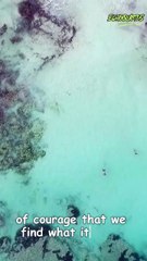 Life is not measured by the number of breaths we take #echoquotes #motivation #viral