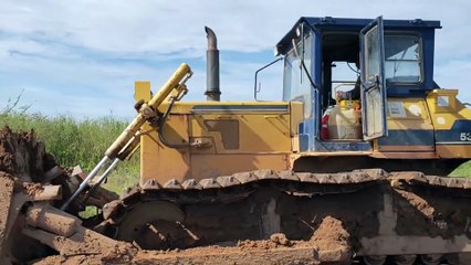 THE LAST PART! Incredible Bulldozer Displaying Strength in the Face of a Forest and Covering a Large