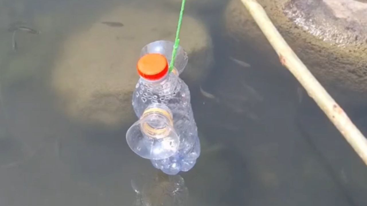 Plastic bottle used as fish trap ends up being filled with fish