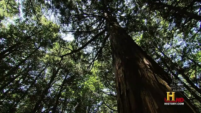 Alienígenas do Passado - Aliens e Lugares Malignos - Episódio 10 - Dublado HD (T03E10)