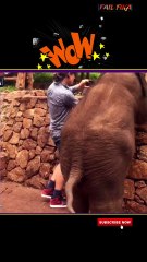 America’s Funniest Fails | Wild Wednesday Fails!