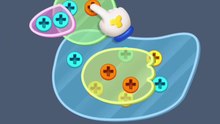 Screw Sort Puzzle 2D - Lv 01 Gameplay 🎮