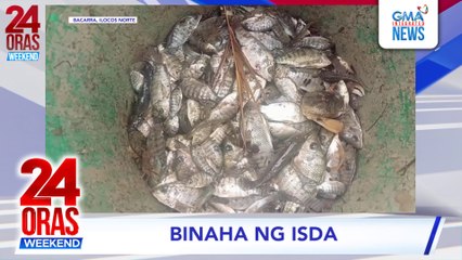 Mga tilapia na inaanod sa ilog, pinagkaguluhan ng mga residente #shorts | 24 Oras Weekend