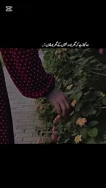 "اللہ سب کچھ جانتا ہے 💖 | اللہ کی پسند کیا ہے؟ | ایمان افروز باتیں"