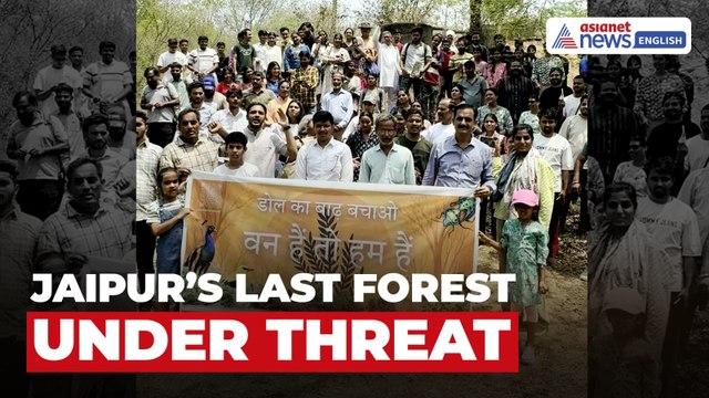 Jaipur’s Last Forest Faces Axe: Dol Ka Badh to Be Cleared for Malls & Concrete