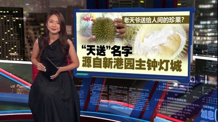 槟城新星“天送”榴梿崛起，价格媲美名贵虾蟹！🫒